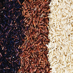 Traditional Rice
